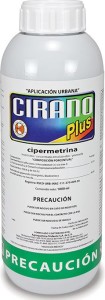 Cirano-Plus