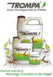 TROMPA1